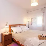 Penthouse Slavija